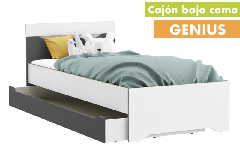 Gaveta para debaixo da cama GENIUS